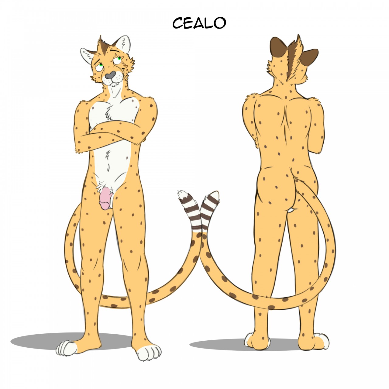 1:1 Rule 34 Image