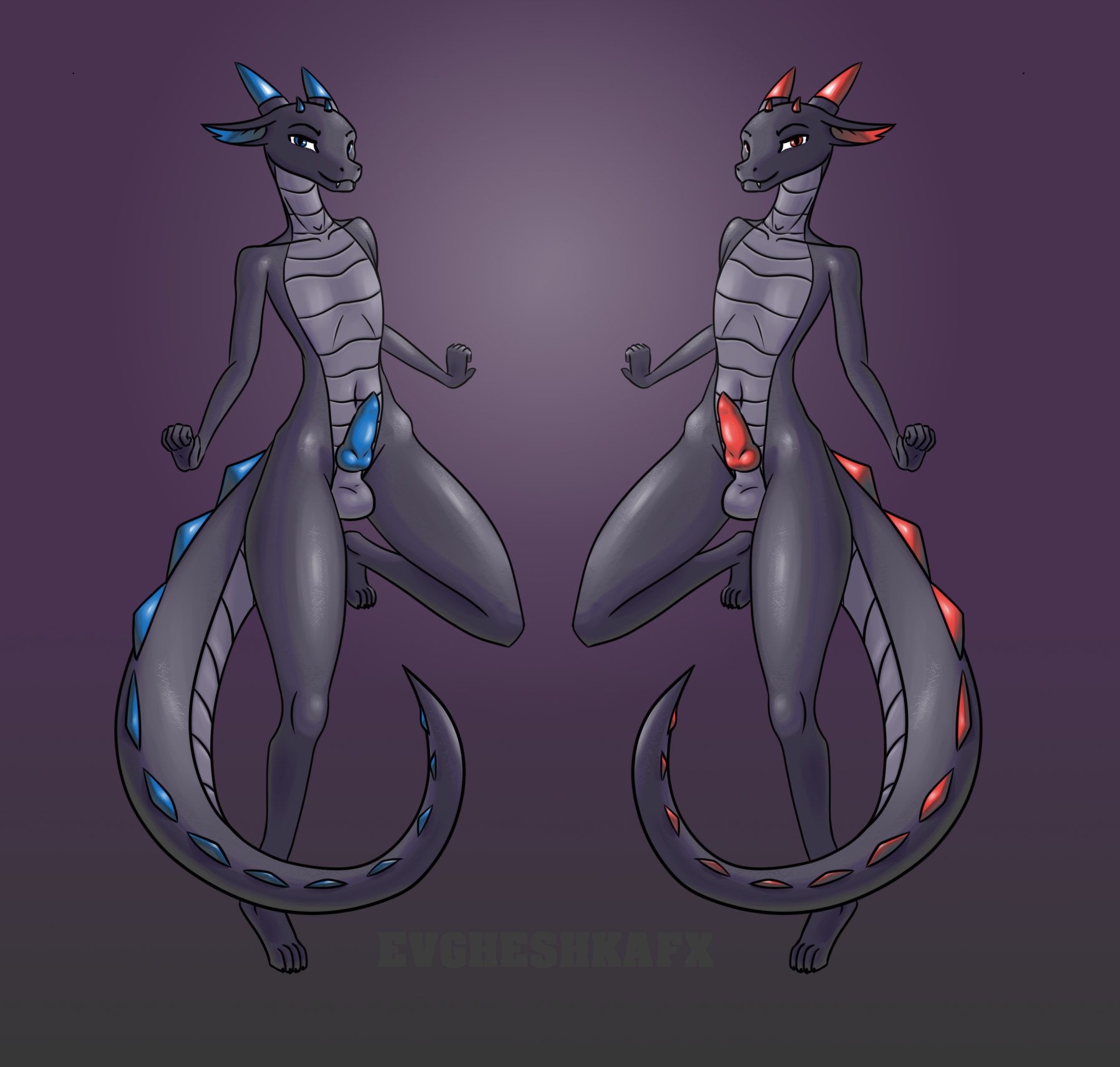 Animal Genitalia Rule 34 Image