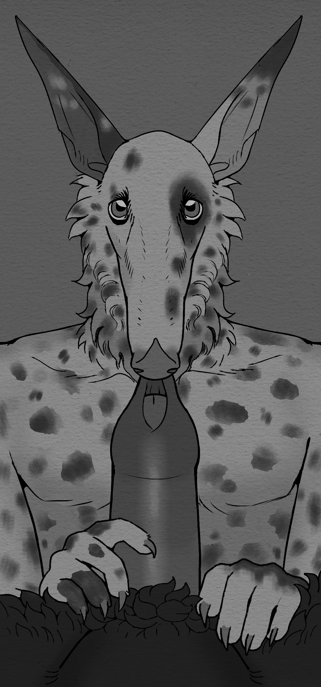 Harpsichord (Artist) Rule 34 Image