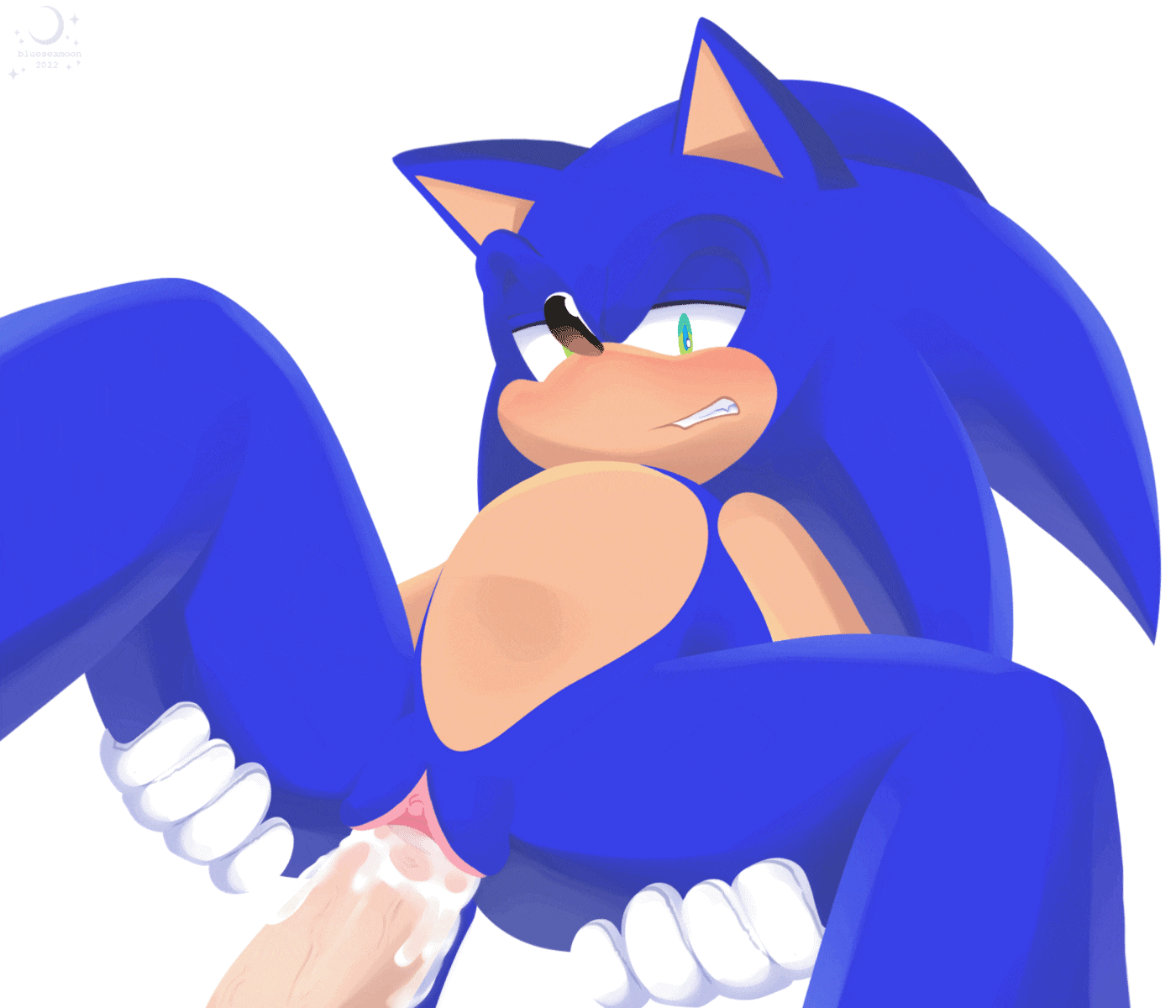 Sonic The Hedgehog (Sega) Rule 34 Image