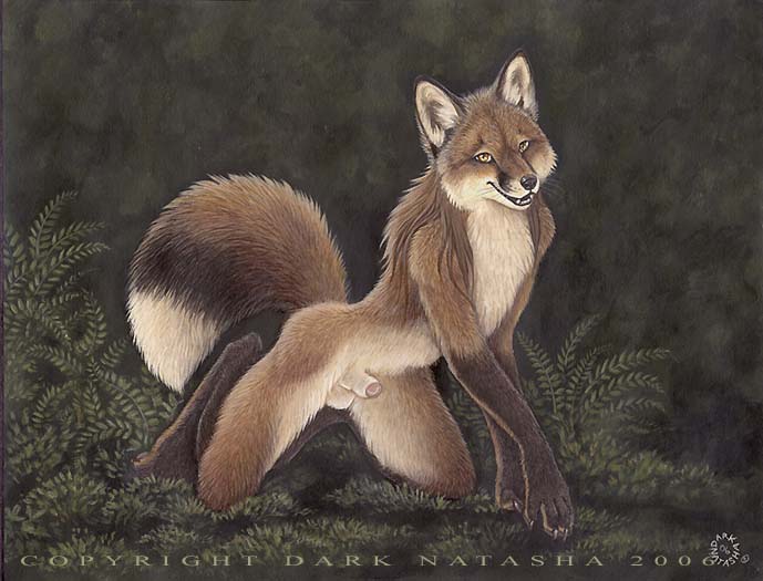 2006 Rule 34 Image