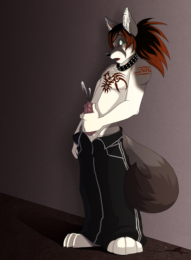 Tanis Rule 34 Image