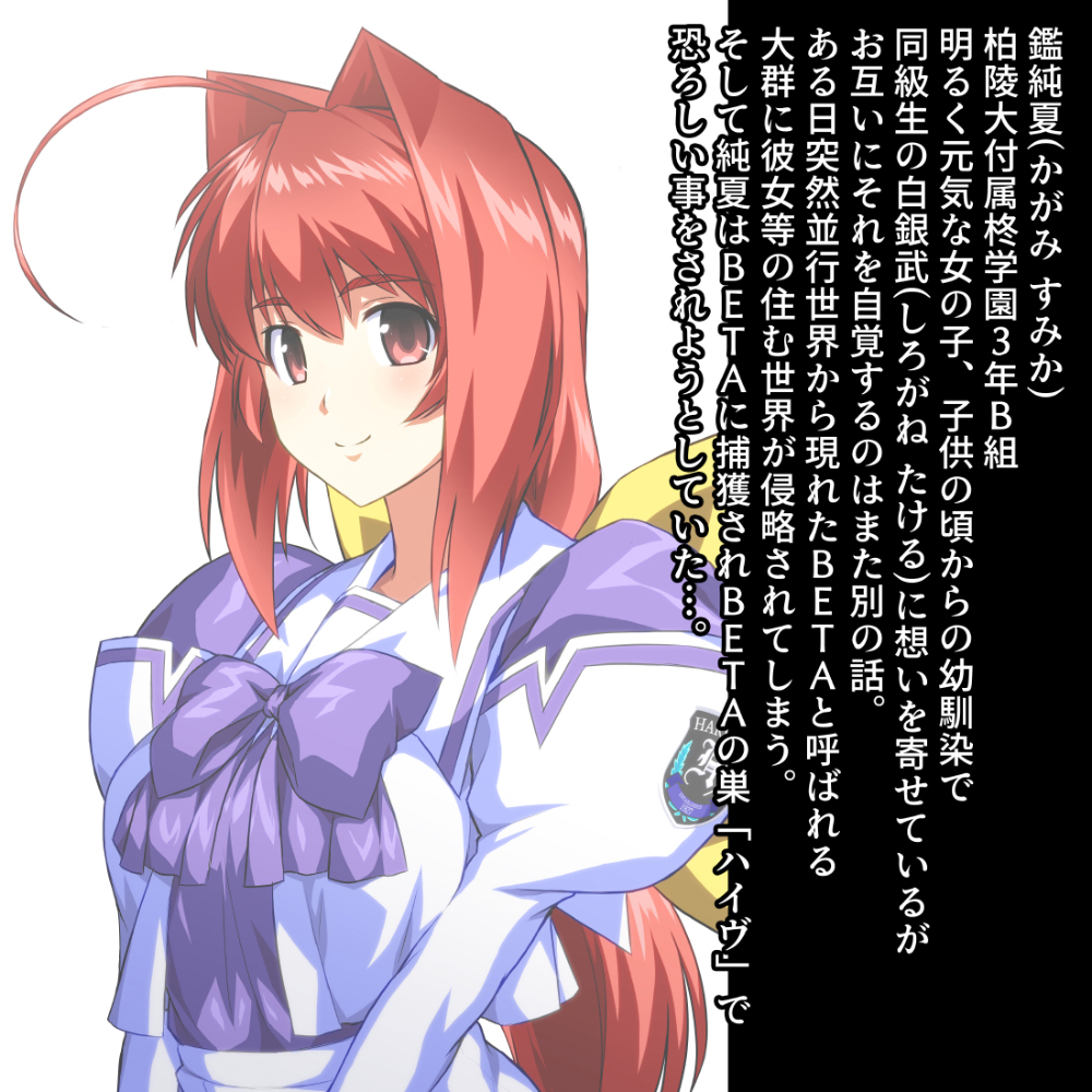 Kagami Sumika (Muv-Luv) Rule 34 Image