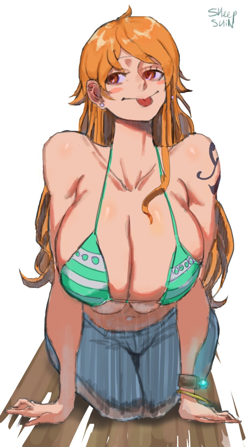 Nami (One Piece) Rule 34 Image