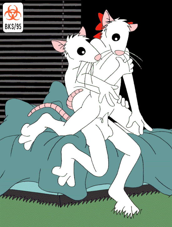 Bed Rule 34 Image
