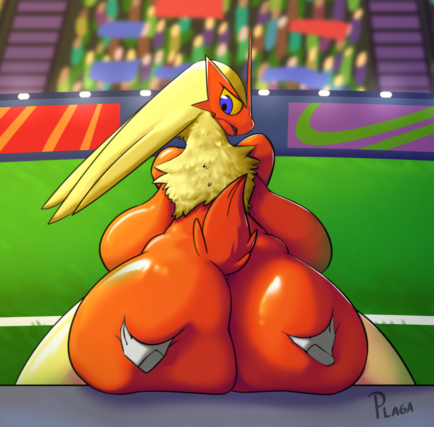 Blaziken (Nintendo) Rule 34 Image