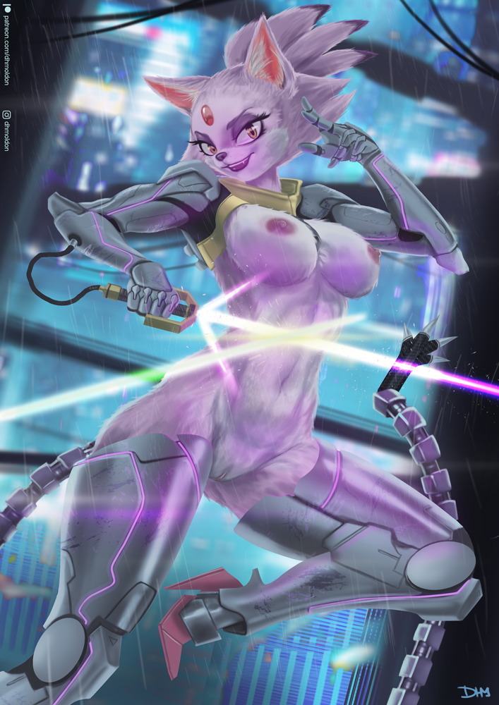 Blaze The Cat (Sonic (Series)) Rule 34 Image