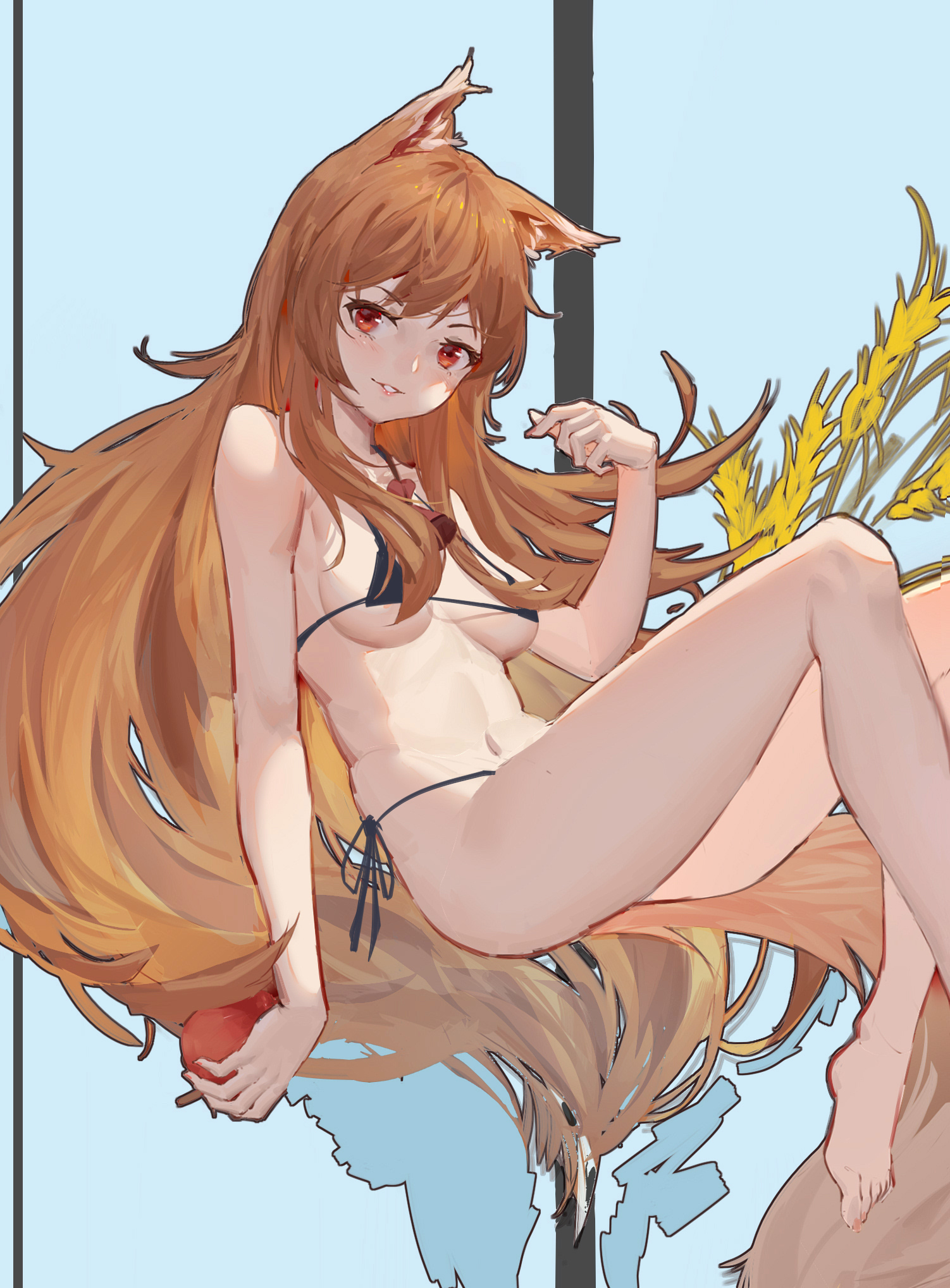 Holo (Spice And Wolf) Rule 34 Image