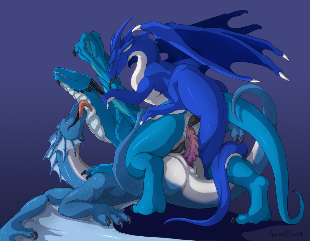 Firondraak Rule 34 Image