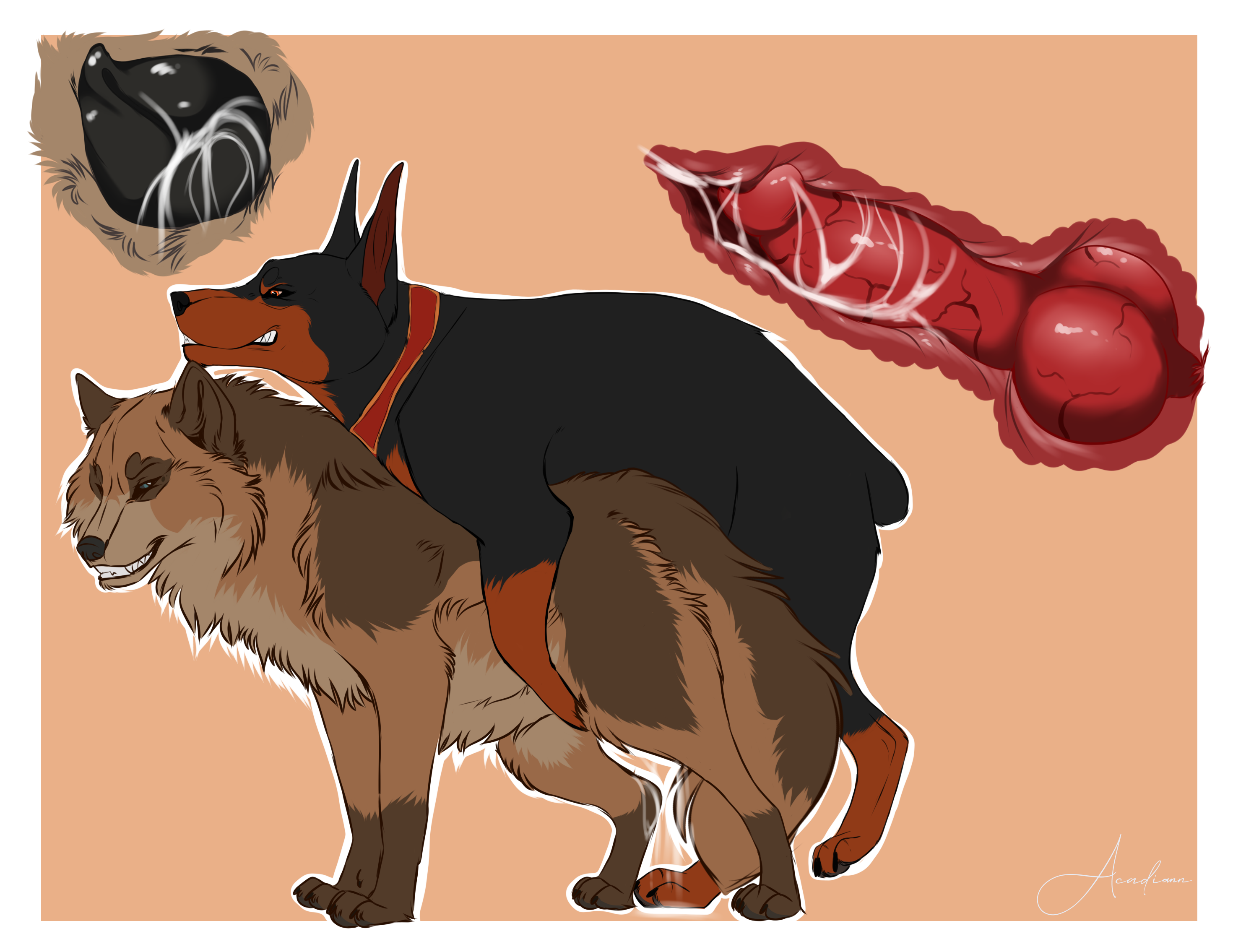 Klaus Doberman (Character) Rule 34 Image