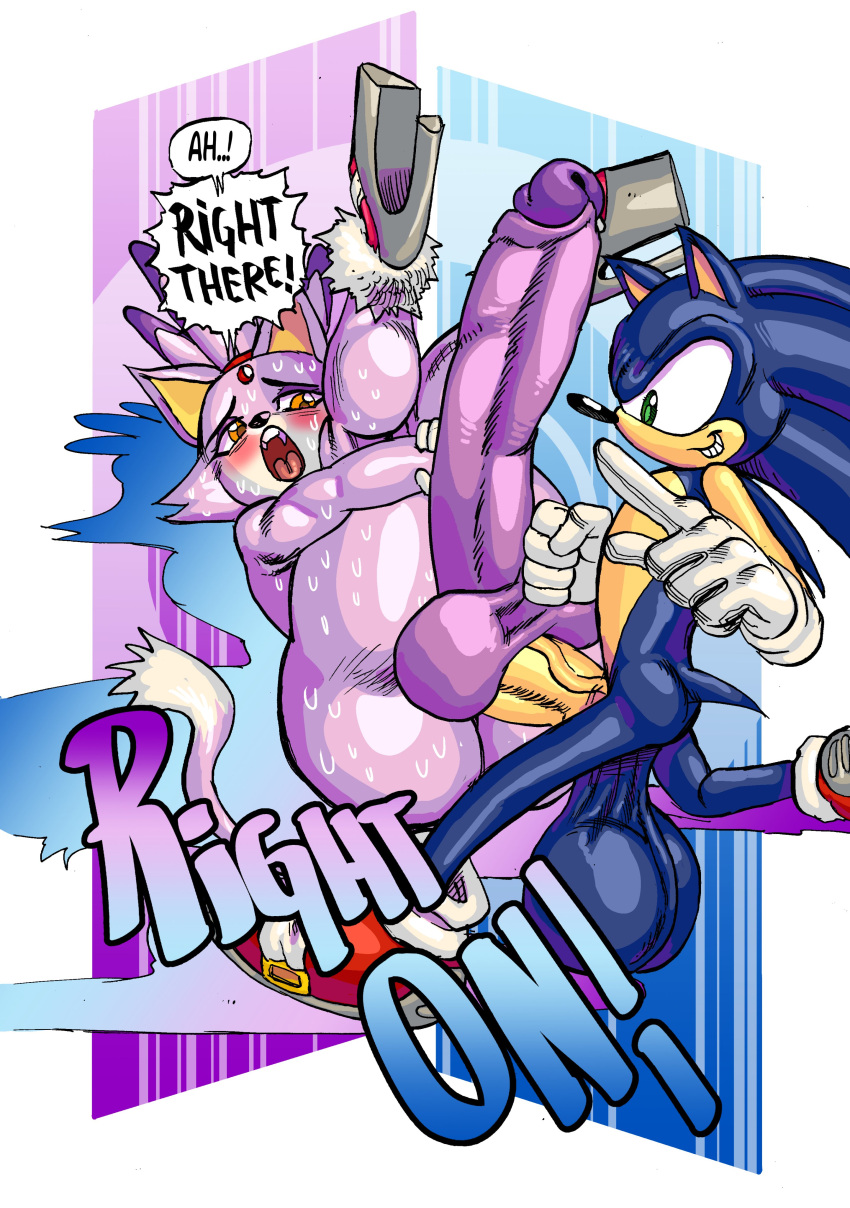 Blaze The Cat (Sega) Rule 34 Image