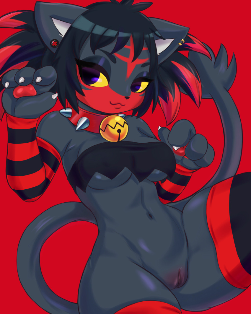 Litten (Pokemon) Rule 34 Image
