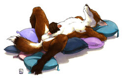 Anthro Rule 34 Image