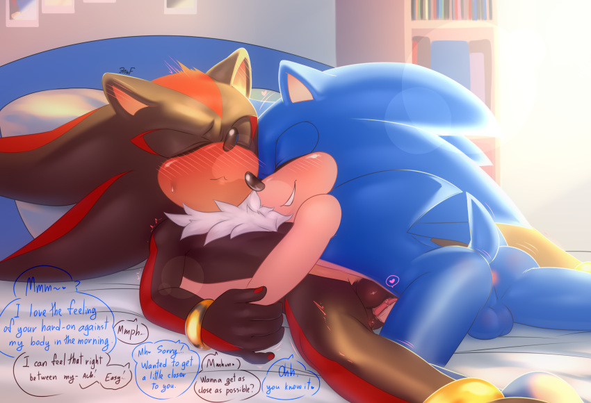 Shadow The Hedgehog (Sega) Rule 34 Image