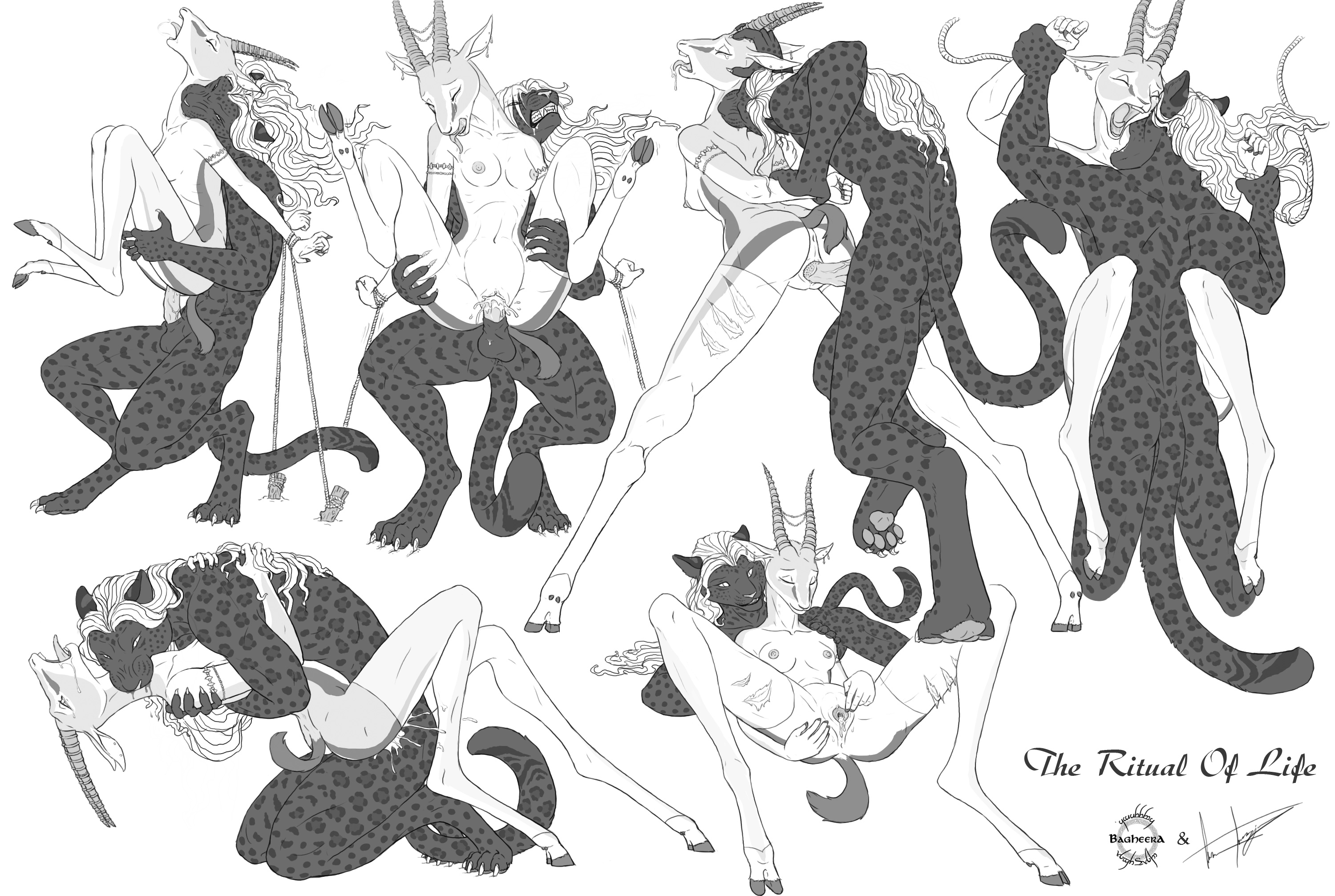 Bagheera (Fursona) Rule 34 Image