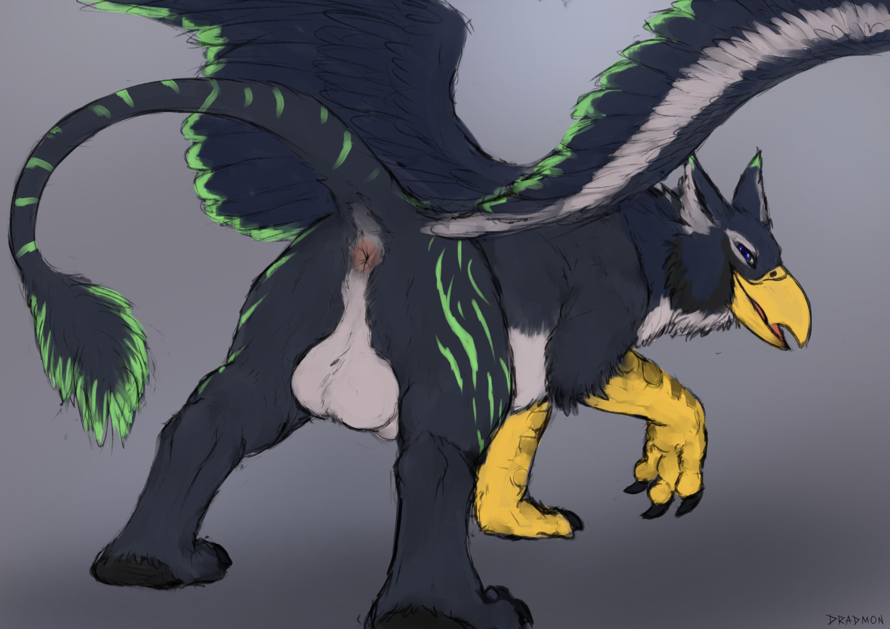 Toumak (Character) Rule 34 Image