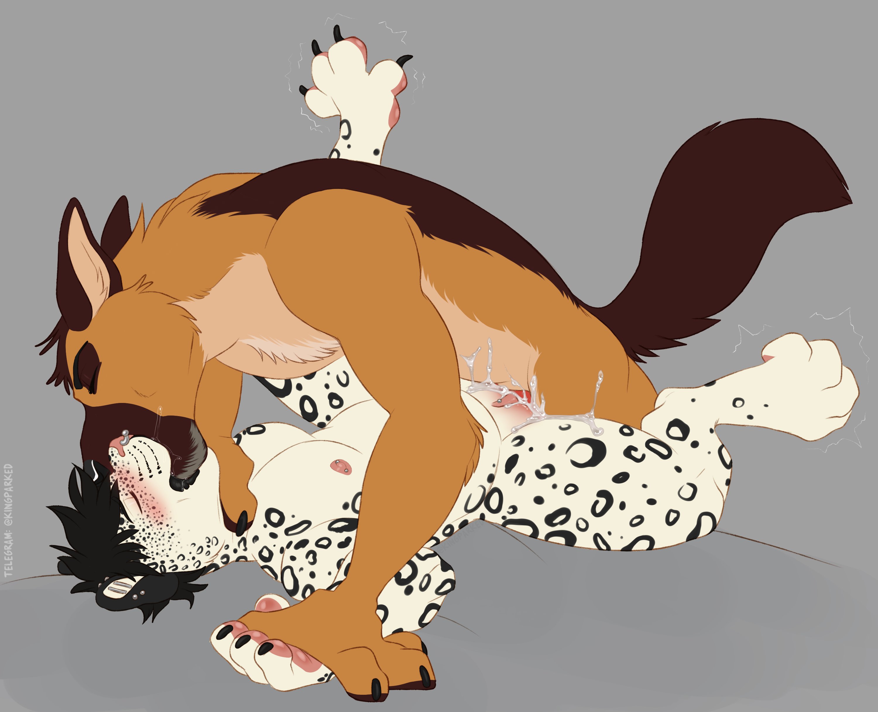 Absurd Res Rule 34 Image