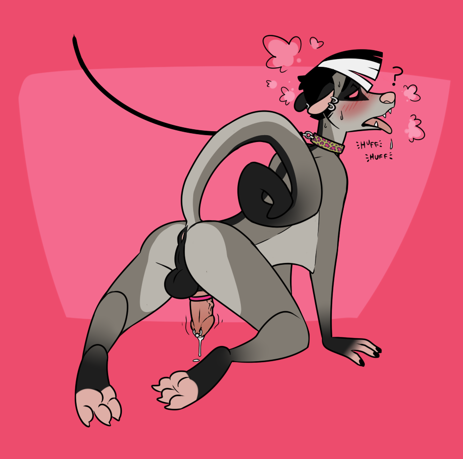 Izzy (Cadaverrdog) Rule 34 Image
