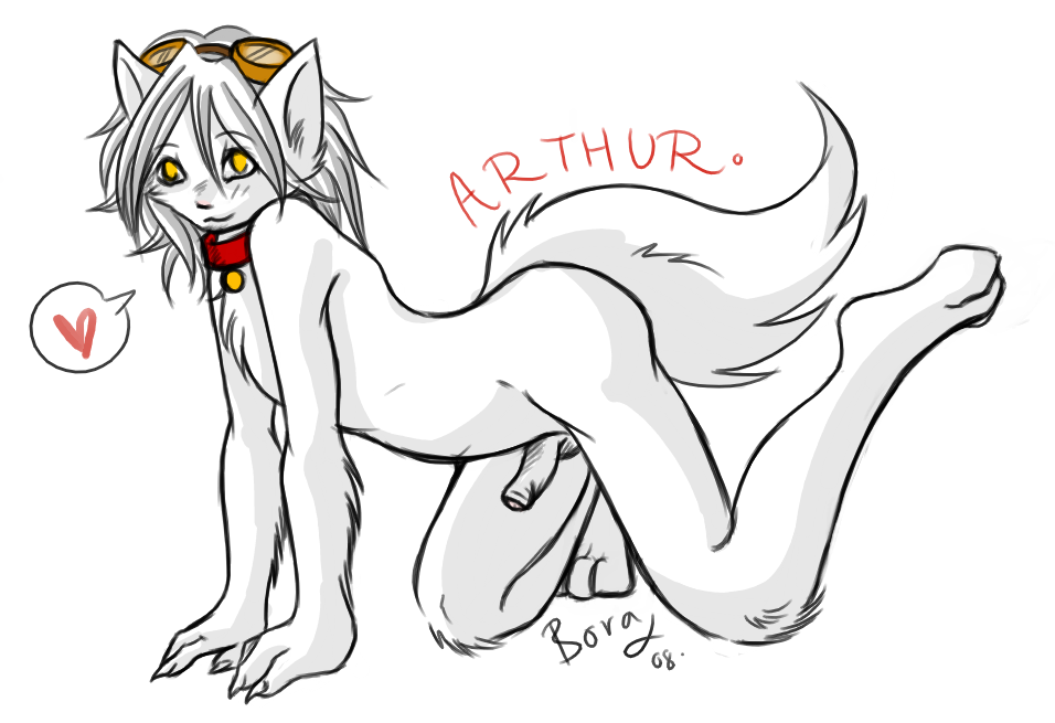 Bora Rule 34 Image