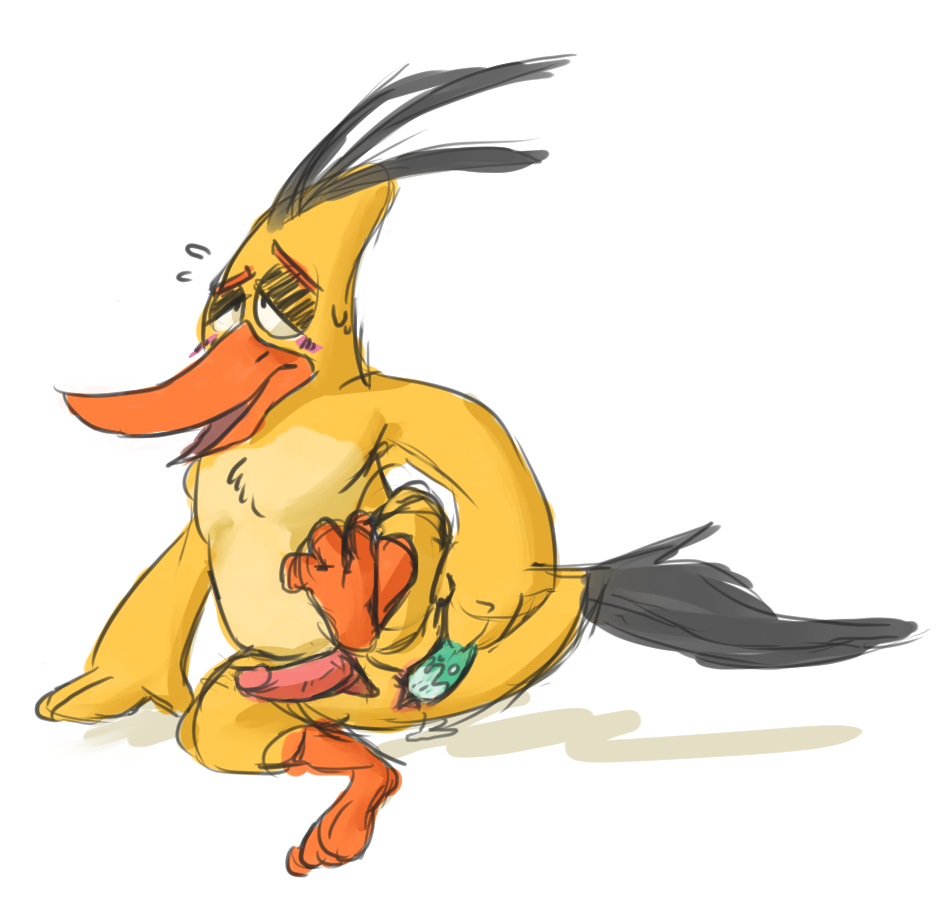Chuck (Angry Birds) Rule 34 Image