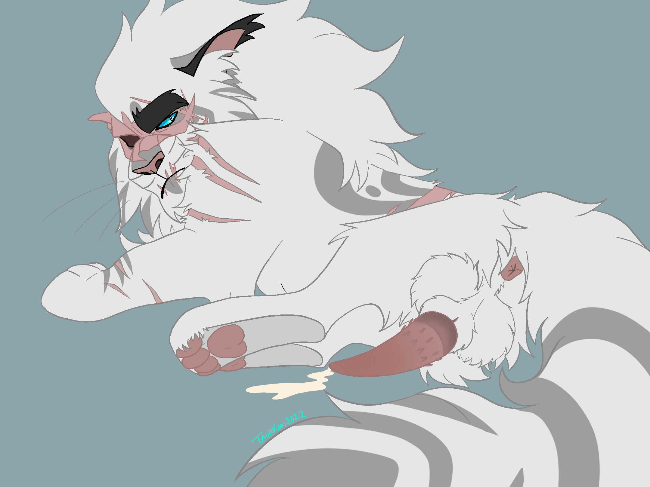 Warriors (Cats) Rule 34 Image