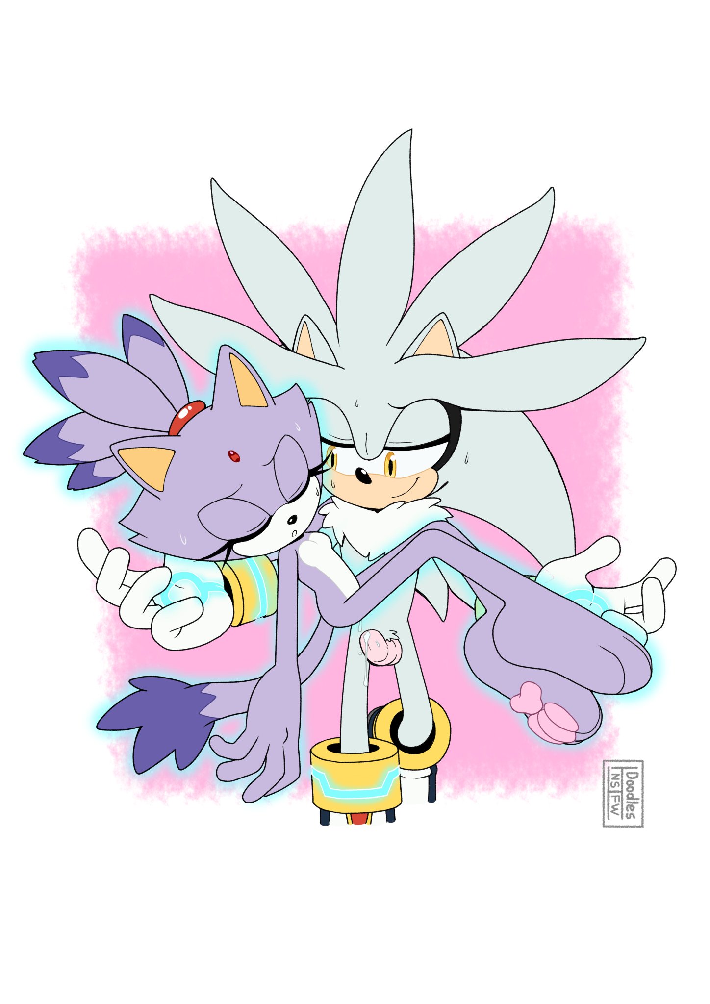 Blaze The Cat (Sonic (Series)) Rule 34 Image