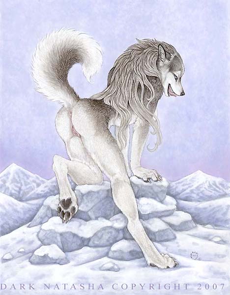 2007 Rule 34 Image