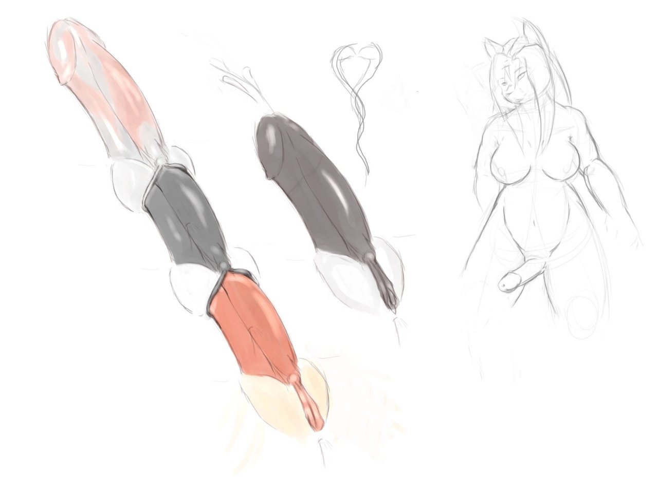 Anatomy Rule 34 Image