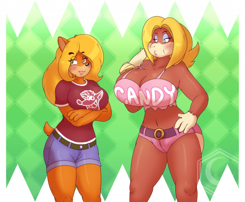 Candy Kong (Activision) Rule 34 Image