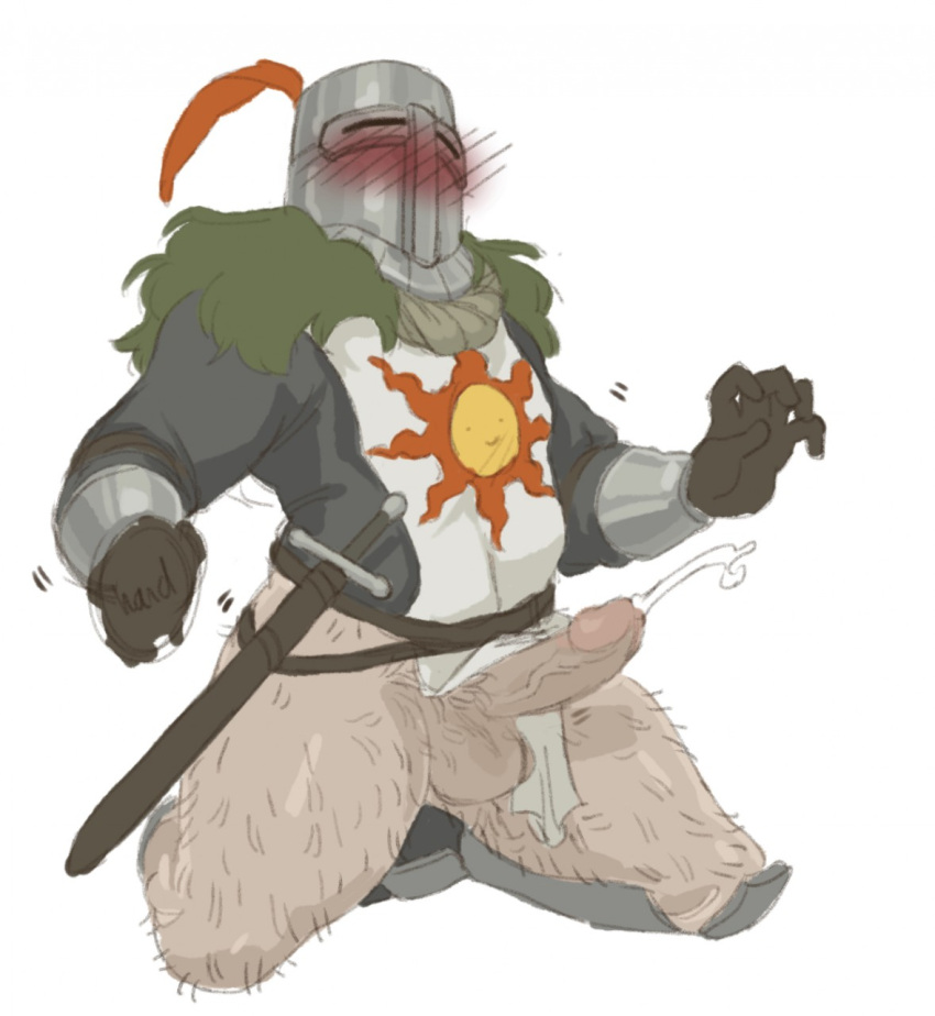 Solaire Of Astora (Dark Souls) Rule 34 Image