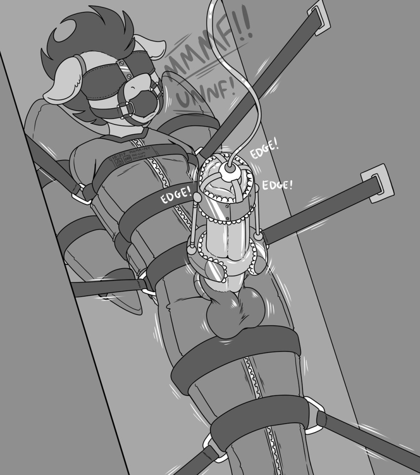 Character Request (Friendship Is Magic) Rule 34 Image