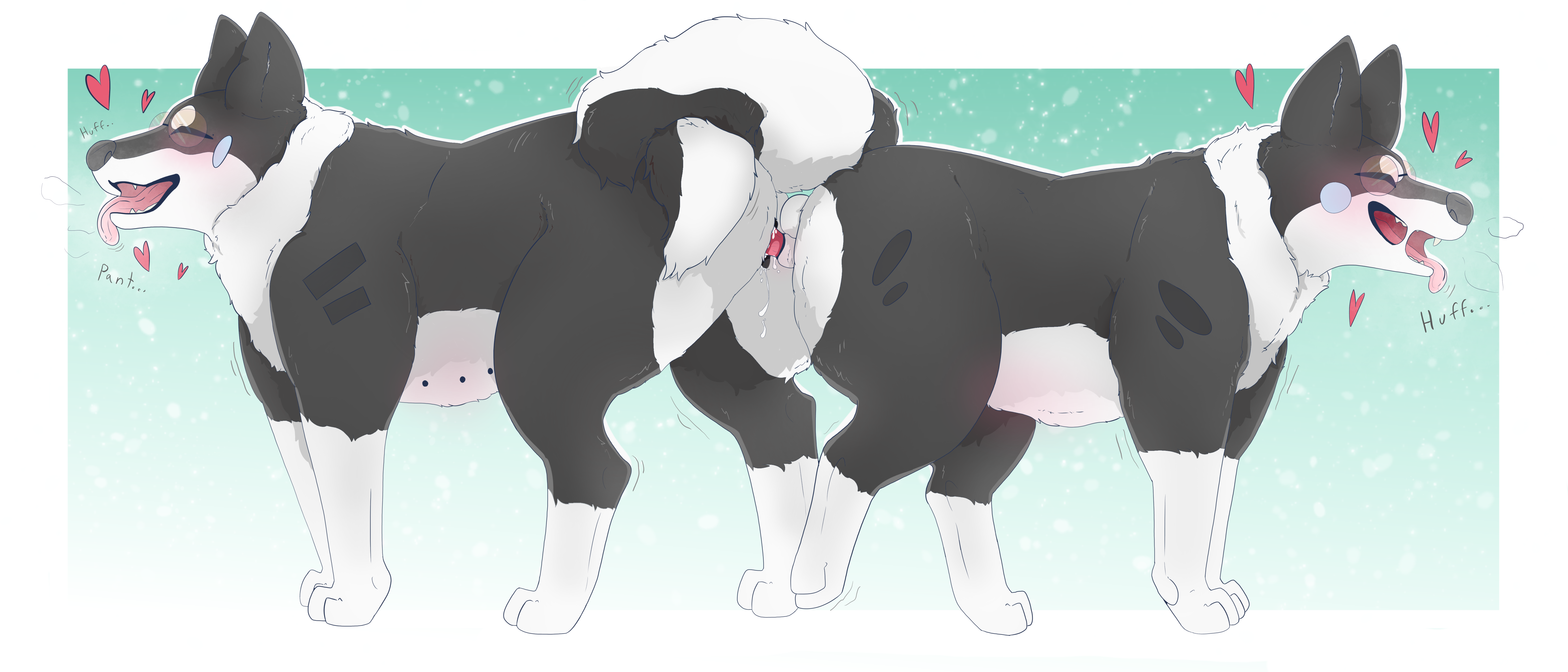 Zachary (Parooty) Rule 34 Image