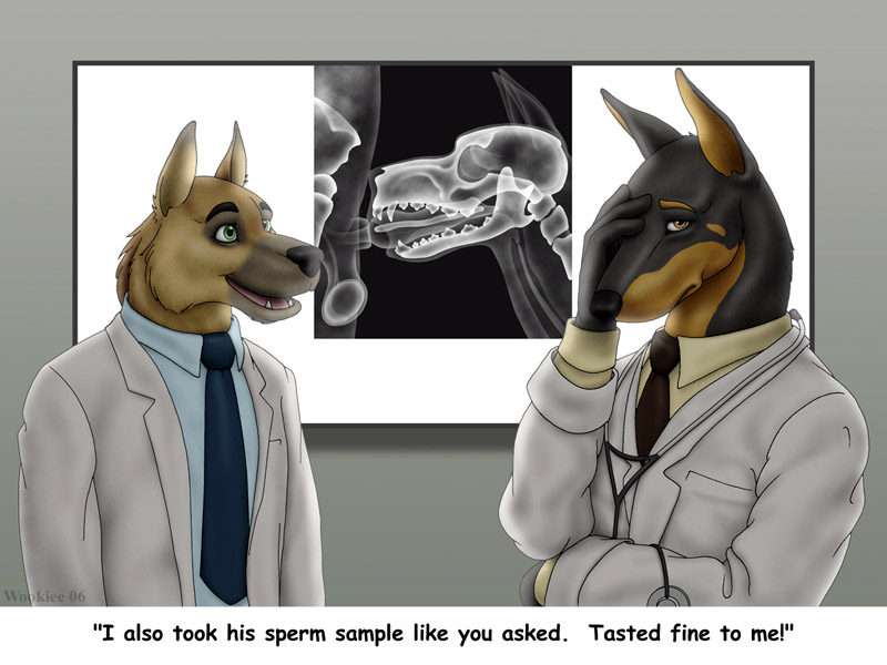 Anthro Rule 34 Image