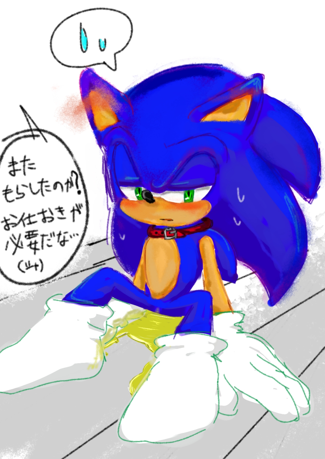 Sonic The Hedgehog (Sega) Rule 34 Image