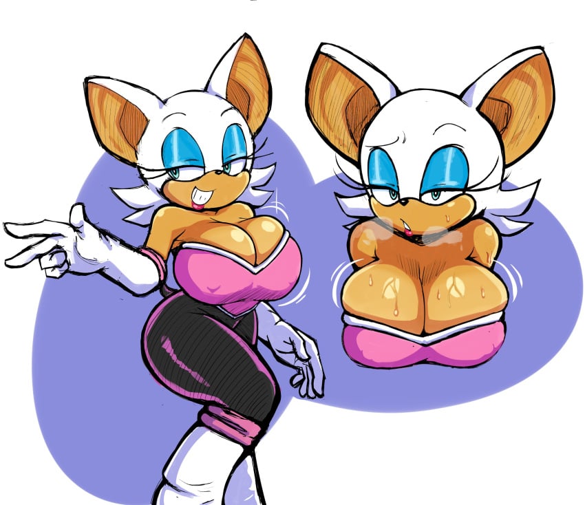 Rouge The Bat (Sega) Rule 34 Image