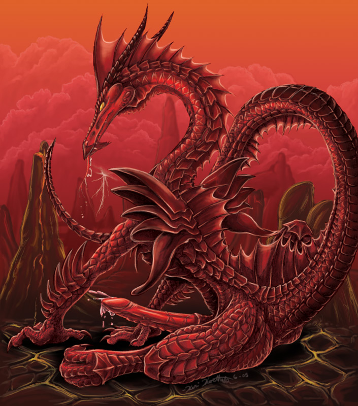 Dragon Rule 34 Image