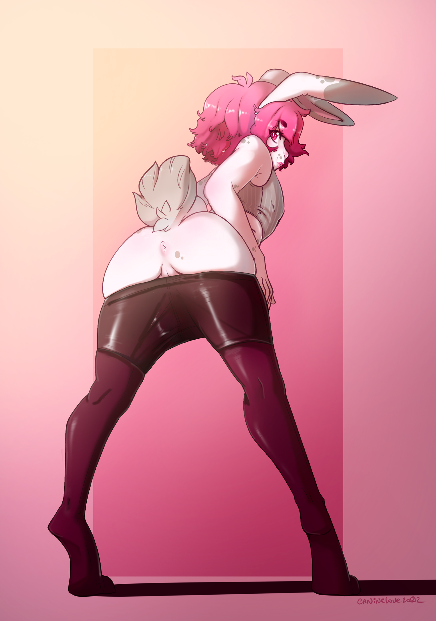 Koda (Disambiguation) Rule 34 Image