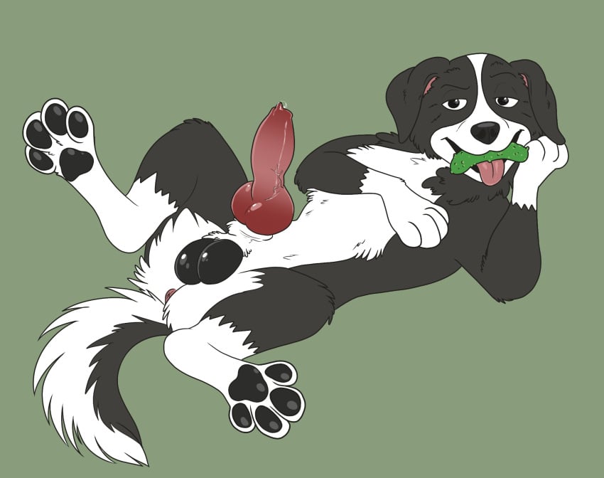 Mr. Pickles (Mr. Pickles (Series)) Rule 34 Image