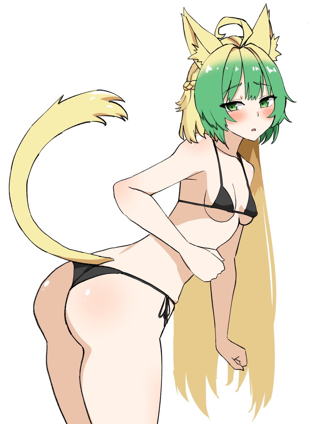 Atalanta (Fate) Rule 34 Image