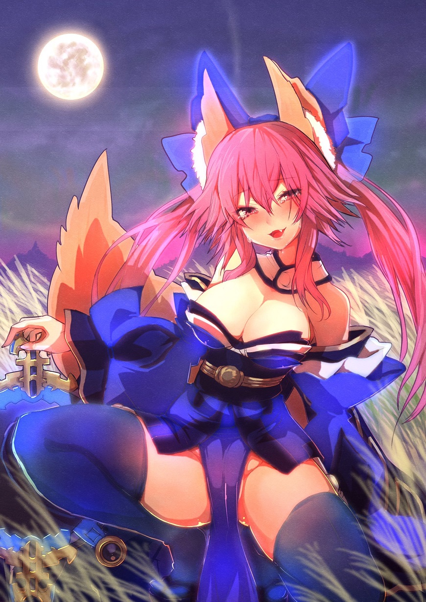 Tamamo No Mae (Fate) Rule 34 Image