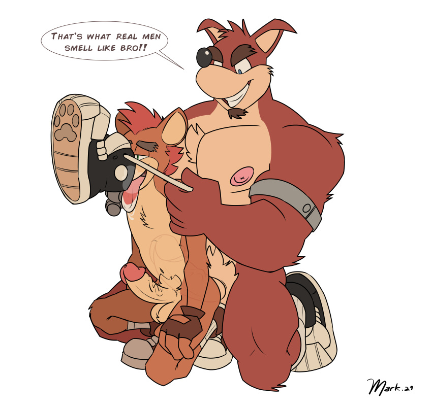 Crash Bandicoot (Crash (Series)) Rule 34 Image