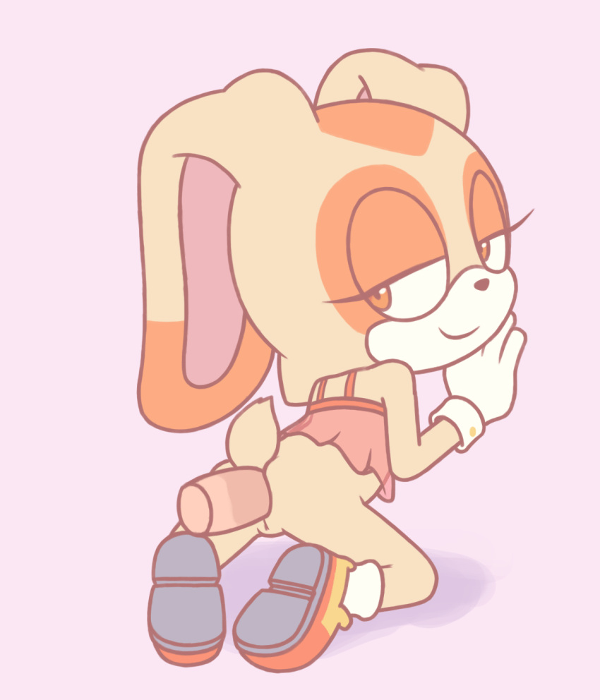Cream The Rabbit (Sega) Rule 34 Image