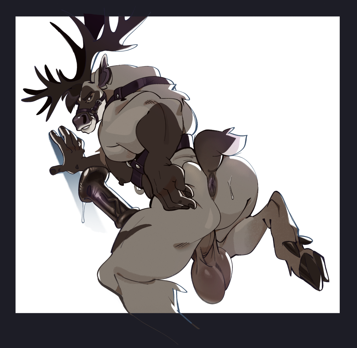 Animal Genitalia Rule 34 Image