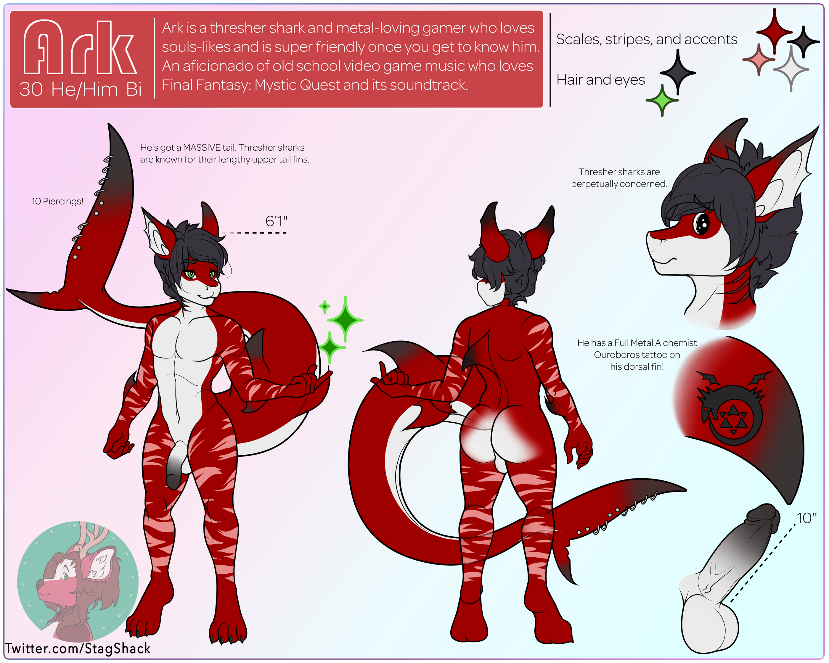 Anthro Rule 34 Image