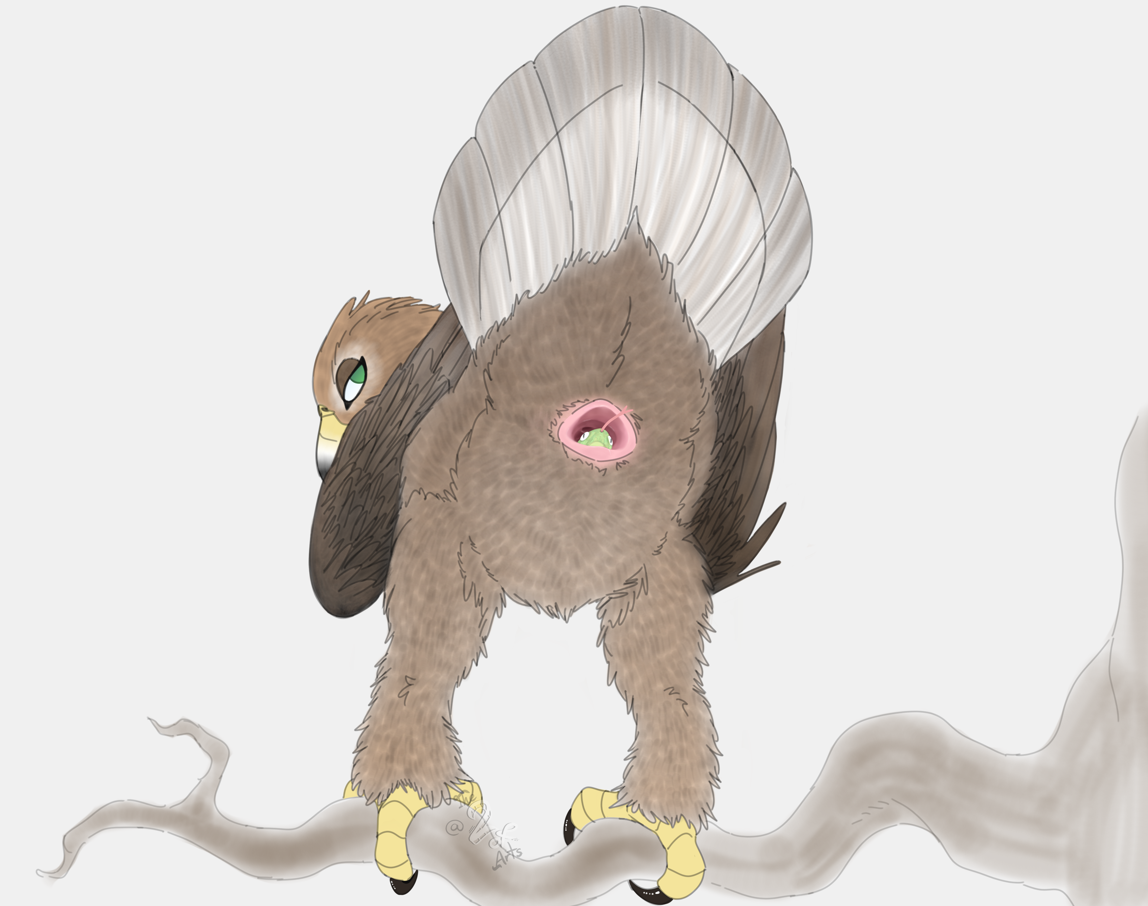 2022 Rule 34 Image