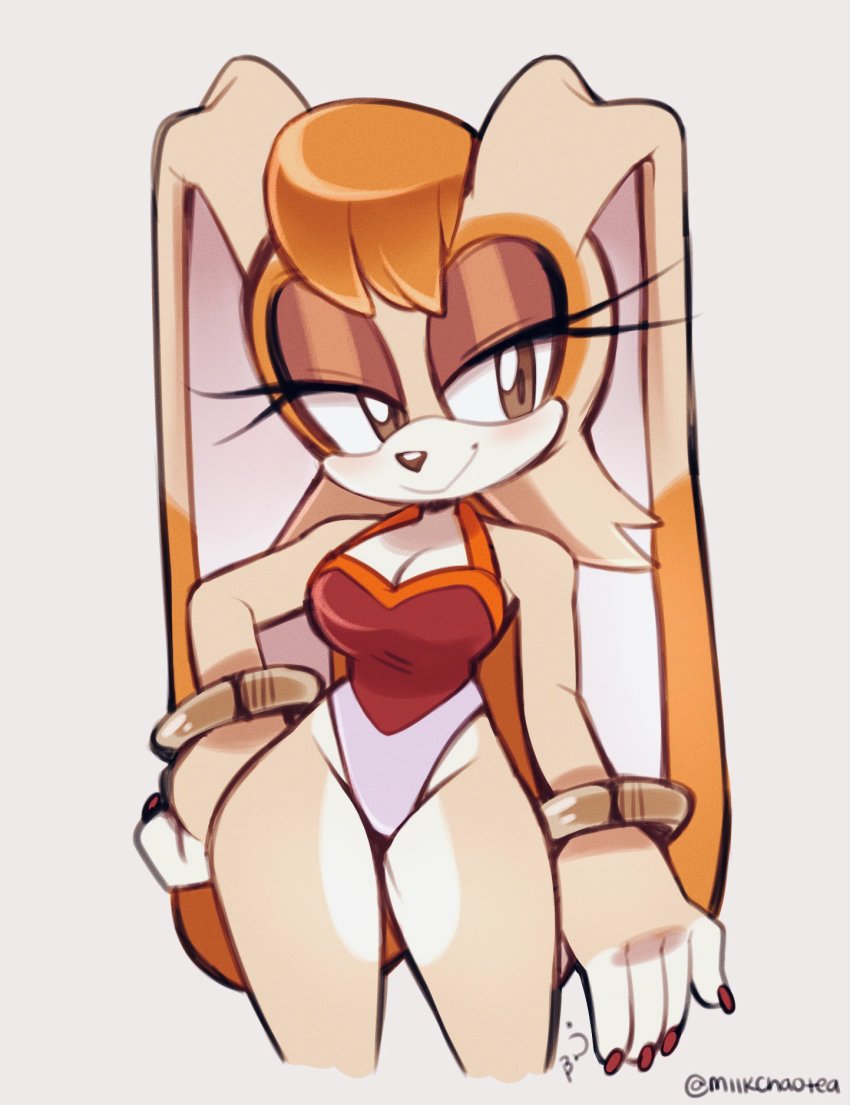 Vanilla The Rabbit (Sonic (Series)) Rule 34 Image