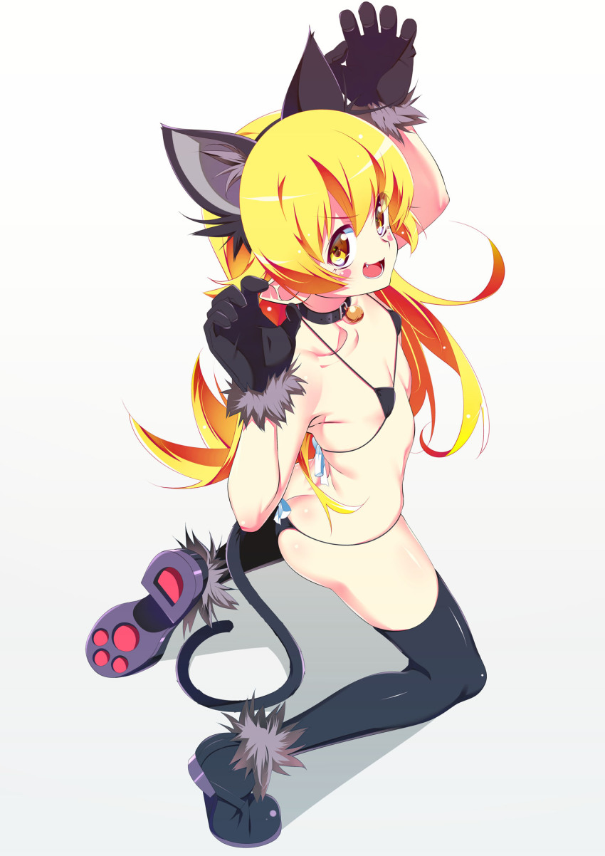 Oshino Shinobu (Monogatari (Series)) Rule 34 Image