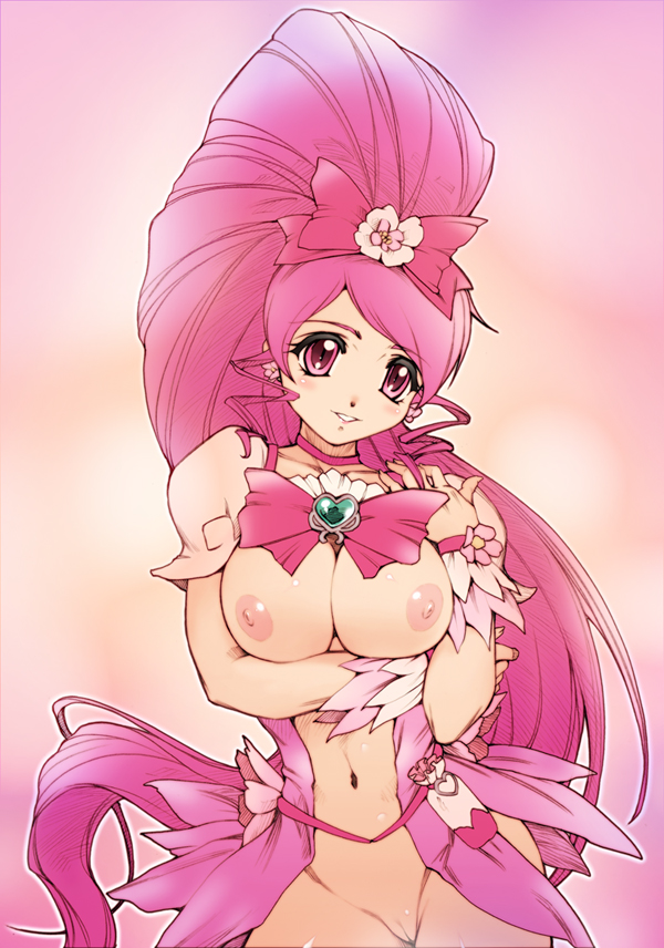 Cure Blossom (Heartcatch Precure!) Rule 34 Image