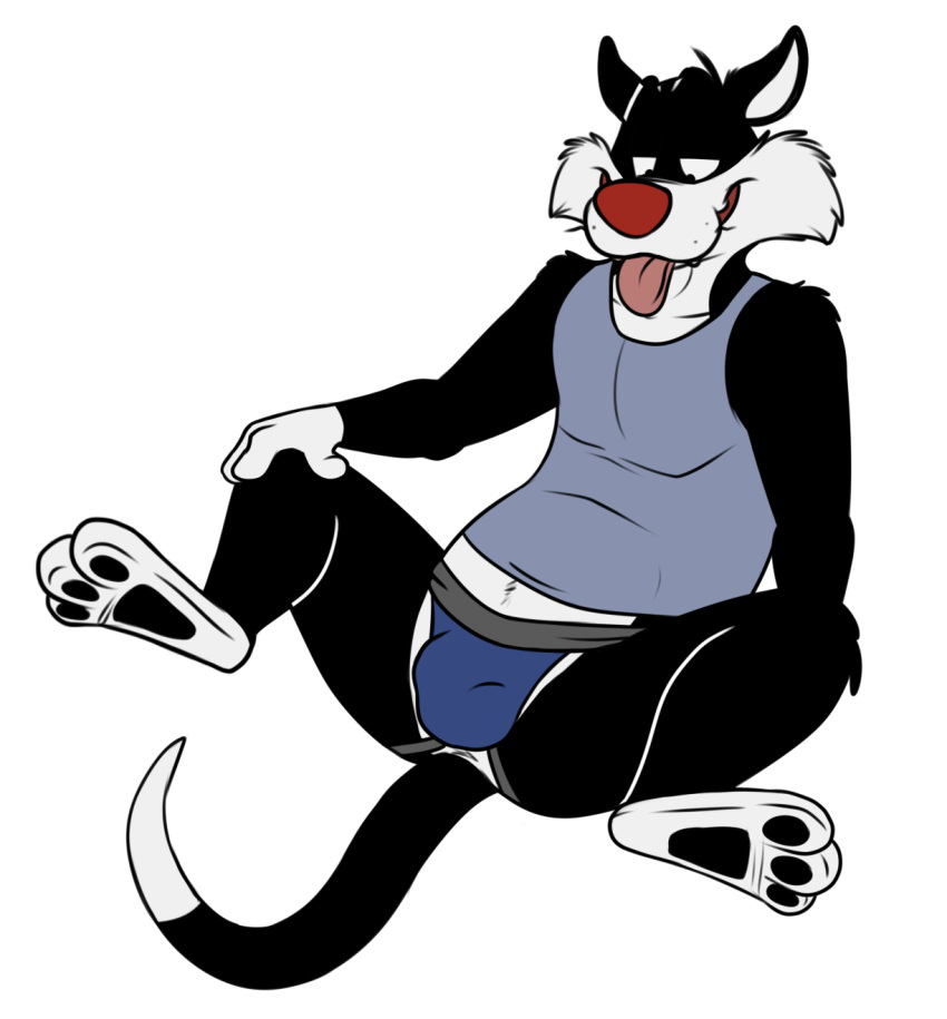 Sylvester (Looney Tunes) Rule 34 Image