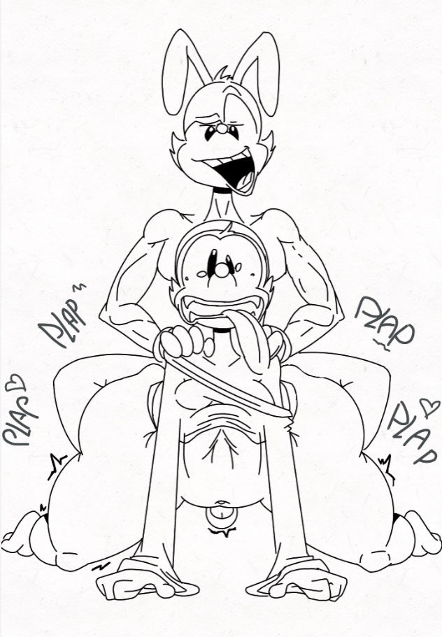 Wakko Warner (Animaniacs) Rule 34 Image